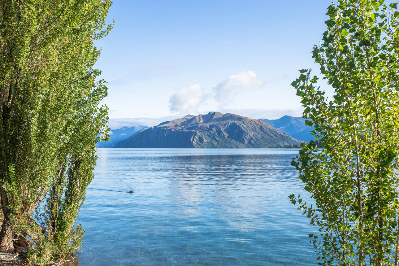 Navigating the NZ Minimum Wage Increase The Full Guide